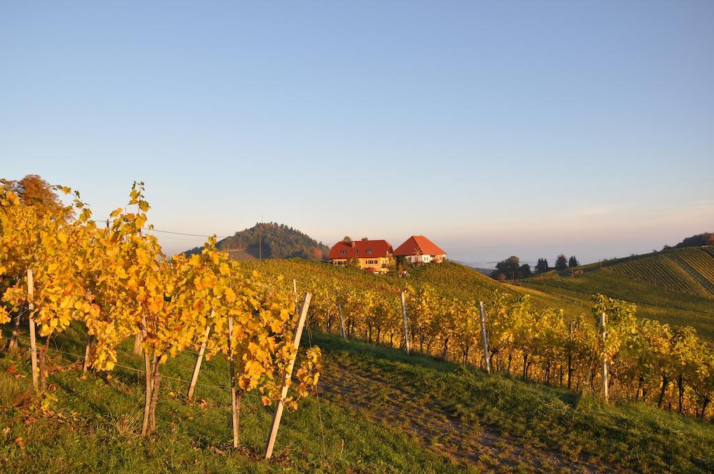 Weingut Koegl Bed & Breakfast Ratsch an der Weinstraße Exterior foto