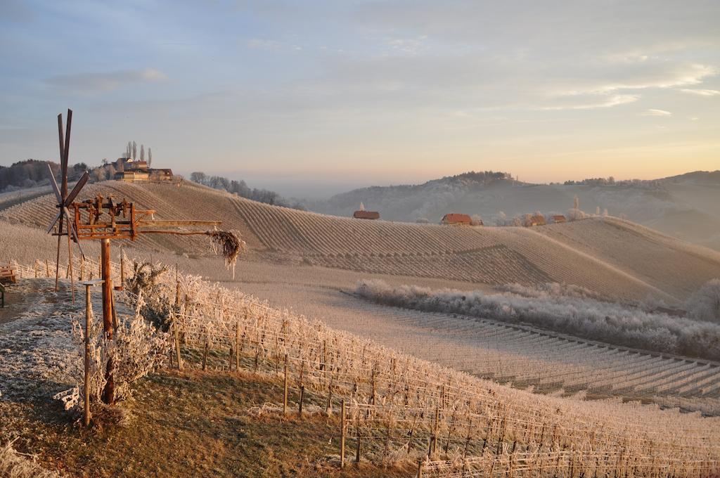 Weingut Koegl Bed & Breakfast Ratsch an der Weinstraße Exterior foto