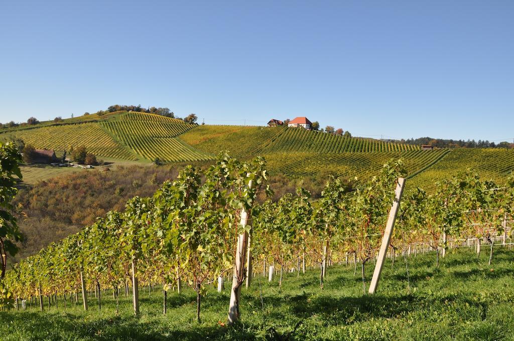 Weingut Koegl Bed & Breakfast Ratsch an der Weinstraße Exterior foto